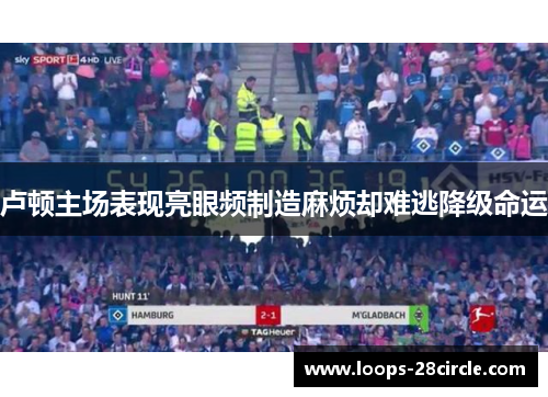 卢顿主场表现亮眼频制造麻烦却难逃降级命运